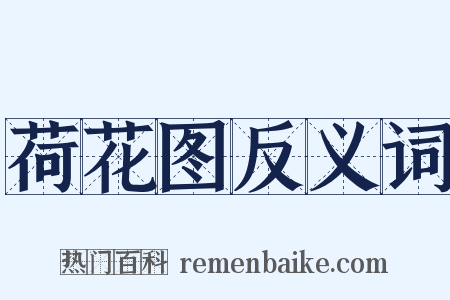 荷花图反义词是什么意思的图片